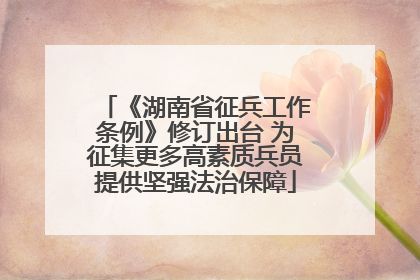 《湖南省征兵工作条例》修订出台 为征集更多高素质兵员提供坚强法治保障