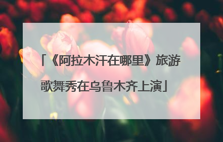 《阿拉木汗在哪里》旅游歌舞秀在乌鲁木齐上演