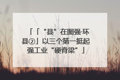 「“县”在图强·环县②」以三个第一挺起强工业“硬脊梁”