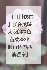 「甘快看」长在戈壁大漠的绿色蔬菜38小时直达粤港澳餐桌