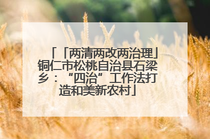 「两清两改两治理」铜仁市松桃自治县石梁乡：“四治”工作法打造和美新农村