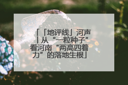 「地评线」河声丨从“一粒种子”看河南“两高四着力”的落地生根