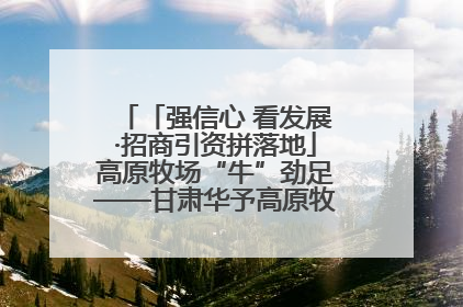 「强信心 看发展·招商引资拼落地」高原牧场“牛”劲足——甘肃华予高原牧场高标准奶牛肉牛养殖项目一线见闻