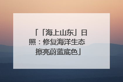「海上山东」日照：修复海洋生态 擦亮蔚蓝底色
