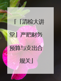 「清检大讲堂」严把财务预算与支出合规关