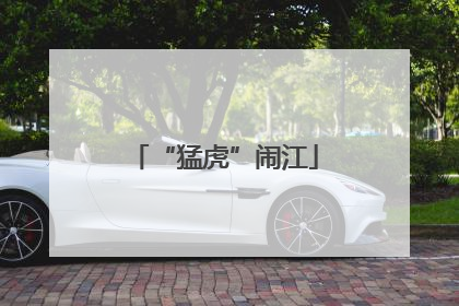 “猛虎”闹江