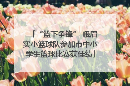 “篮下争锋” 峨眉实小篮球队参加市中小学生篮球比赛获佳绩
