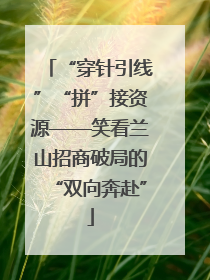 “穿针引线”“拼”接资源——笑看兰山招商破局的“双向奔赴”