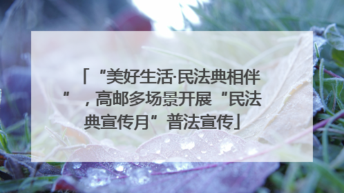 “美好生活·民法典相伴”，高邮多场景开展“民法典宣传月”普法宣传
