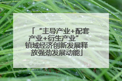 “主导产业+配套产业+衍生产业” 镇域经济创新发展释放强劲发展动能