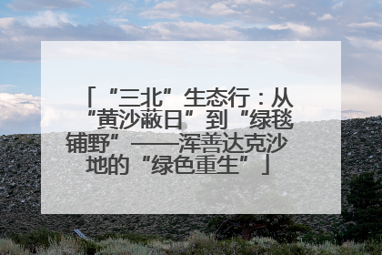 “三北”生态行：从“黄沙蔽日”到“绿毯铺野”——浑善达克沙地的“绿色重生”