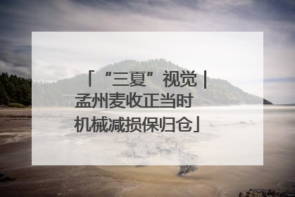 “三夏”视觉｜孟州麦收正当时 机械减损保归仓