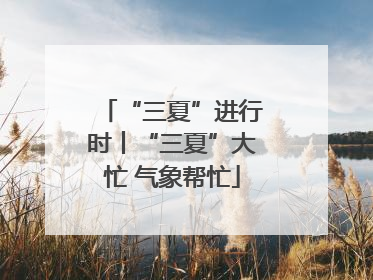 “三夏”进行时丨“三夏”大忙 气象帮忙