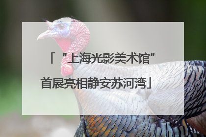 “上海光影美术馆”首展亮相静安苏河湾