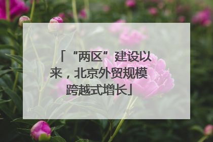 “两区”建设以来，北京外贸规模跨越式增长