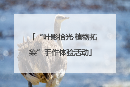 “叶影拾光·植物拓染”手作体验活动