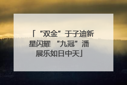 “双金”于子迪新星闪耀 “九冠”潘展乐如日中天