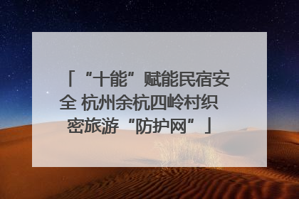 “十能”赋能民宿安全 杭州余杭四岭村织密旅游“防护网”