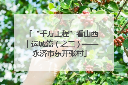 “千万工程”看山西｜运城篇（之二）——永济市东开张村