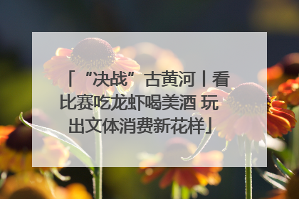 “决战”古黄河丨看比赛吃龙虾喝美酒 玩出文体消费新花样