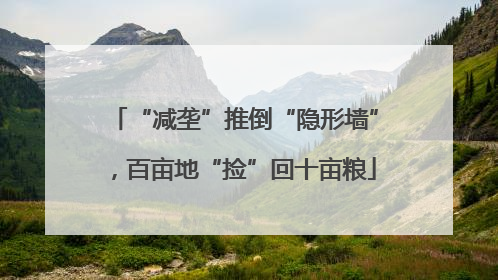 “减垄”推倒“隐形墙”，百亩地“捡”回十亩粮