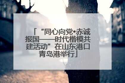 “同心向党•赤诚报国——时代楷模共建活动”在山东港口青岛港举行