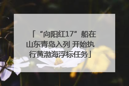 “向阳红17”船在山东青岛入列 开始执行黄渤海浮标任务