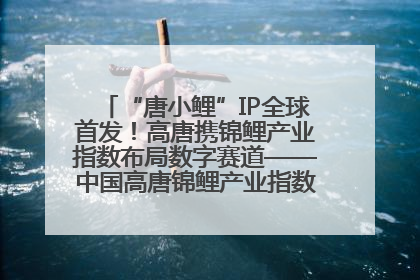 “唐小鲤”IP全球首发！高唐携锦鲤产业指数布局数字赛道——中国高唐锦鲤产业指数暨“唐小鲤”IP全球首发仪式在杭州举行