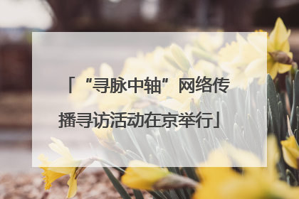 “寻脉中轴”网络传播寻访活动在京举行