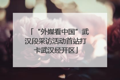 “外媒看中国”武汉段采访活动首站打卡武汉经开区