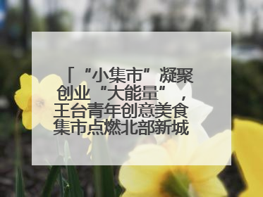 “小集市”凝聚创业“大能量”，王台青年创意美食集市点燃北部新城夜经济