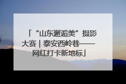 “山东邂逅美”摄影大赛｜泰安西岭巷——网红打卡新地标