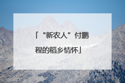 “新农人”付鹏程的稻乡情怀