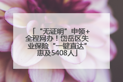 “无证明”申领+全程网办！岱岳区失业保险“一键直达”惠及5408人