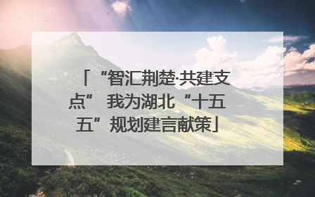 “智汇荆楚·共建支点” 我为湖北“十五五”规划建言献策