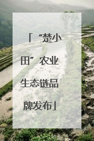 “楚小田”农业生态链品牌发布