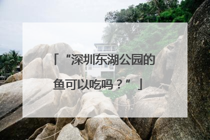 “深圳东湖公园的鱼可以吃吗？”