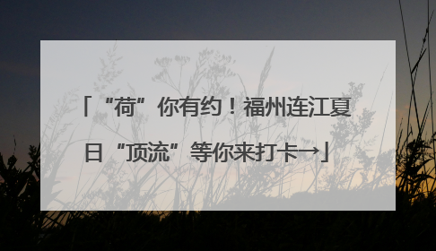 “荷”你有约！福州连江夏日“顶流”等你来打卡→