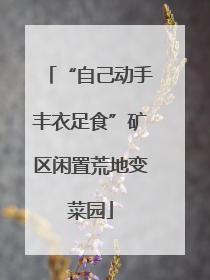 “自己动手丰衣足食”矿区闲置荒地变菜园
