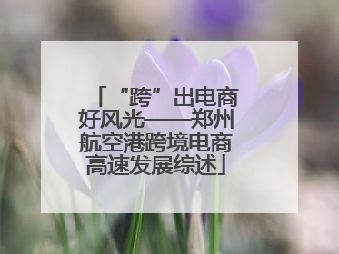 “跨”出电商好风光——郑州航空港跨境电商高速发展综述