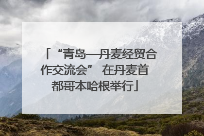“青岛—丹麦经贸合作交流会” 在丹麦首都哥本哈根举行