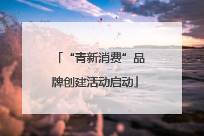 “青新消费”品牌创建活动启动
