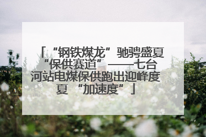 “钢铁煤龙”驰骋盛夏 “保供赛道”——七台河站电煤保供跑出迎峰度夏 “加速度”