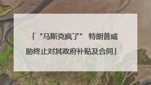 “马斯克疯了” 特朗普威胁终止对其政府补贴及合同