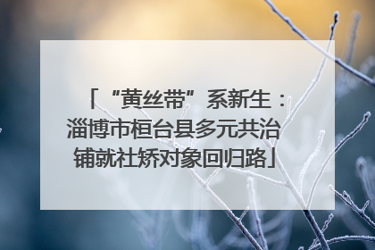 “黄丝带”系新生：淄博市桓台县多元共治铺就社矫对象回归路