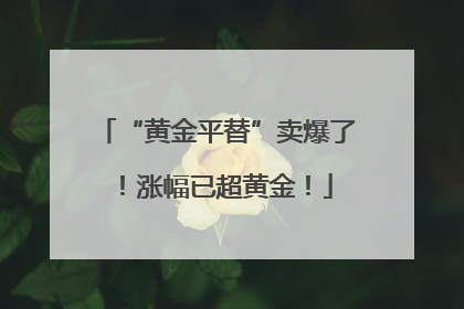 “黄金平替”卖爆了！涨幅已超黄金！