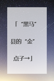 “黑马”县的“金”点子→