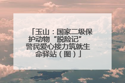 玉山：国家二级保护动物“脱险记” 警民爱心接力筑就生命驿站（图）