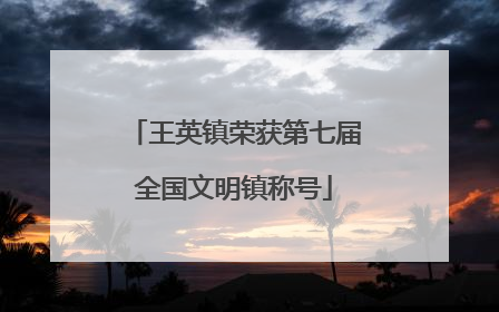 王英镇荣获第七届全国文明镇称号