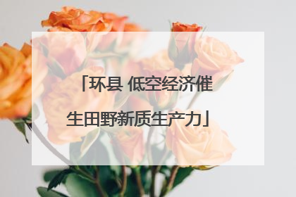 环县 低空经济催生田野新质生产力